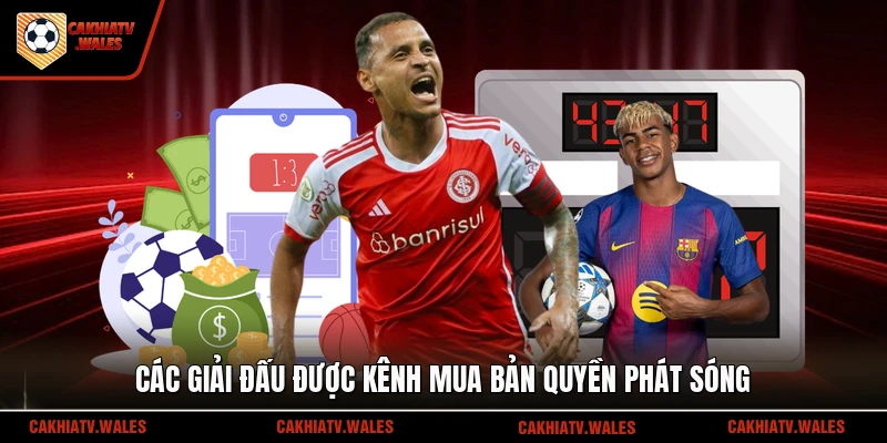 Các giải đấu được kênh mua bản quyền phát sóng