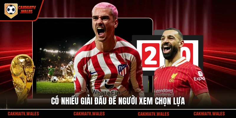 Có nhiều giải đấu để người xem chọn lựa 