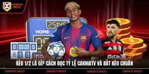 Kèo 1/2 Là Gì
