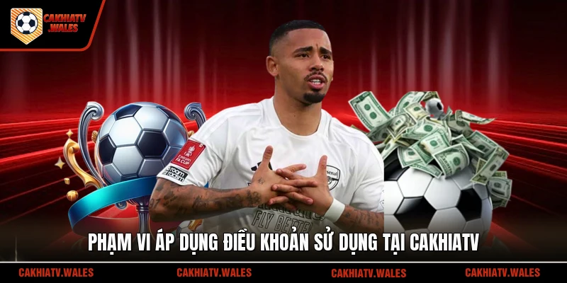 Phạm vi áp dụng điều khoản sử dụng tại Cakhiatv